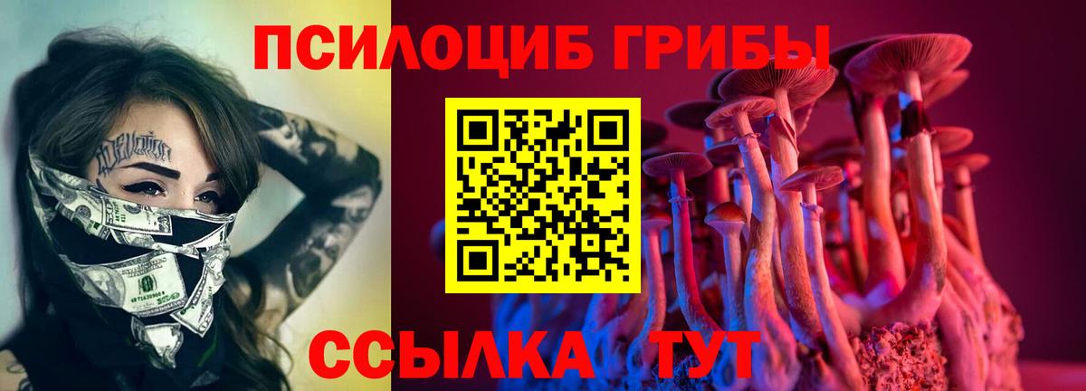 Галлюциногенные грибы ЛСД  Вход с VPN  Электросталь 